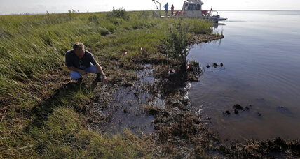 Gulf oil spill: how wildlife is still challenged four years later